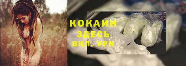 spice Беломорск