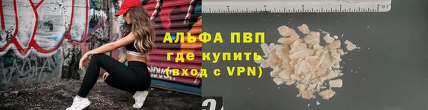 spice Беломорск