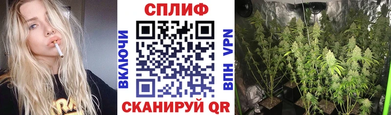 Бошки марихуана сатива  хочу наркоту  Бирск 